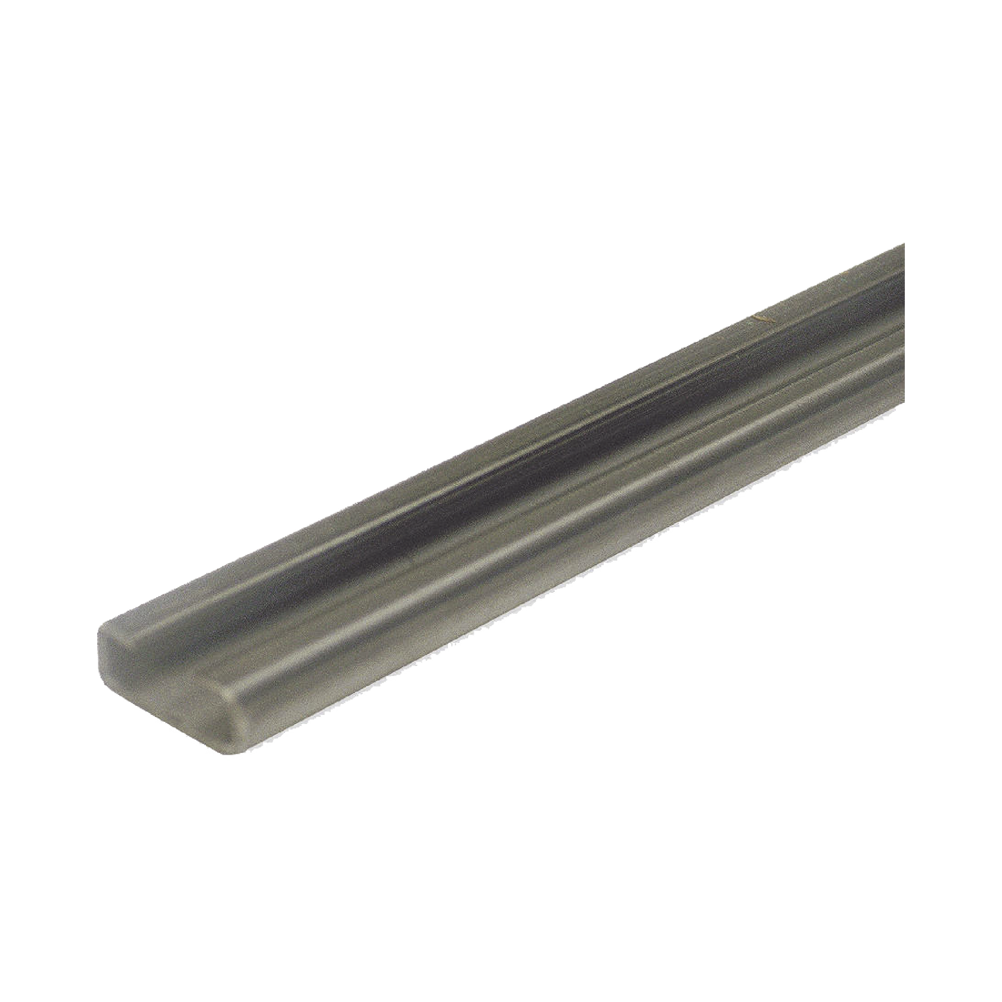 Riel tipo C / Compatible con motor ACCESSFORCE y FS1000APPRT.