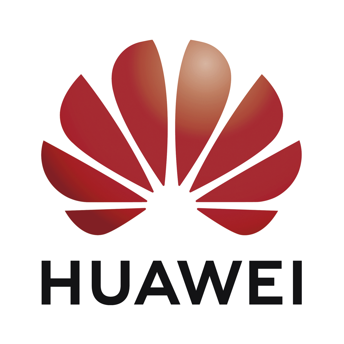 Software de Gestión NCE FAN LITE para equipos GPON Huawei, 3 años